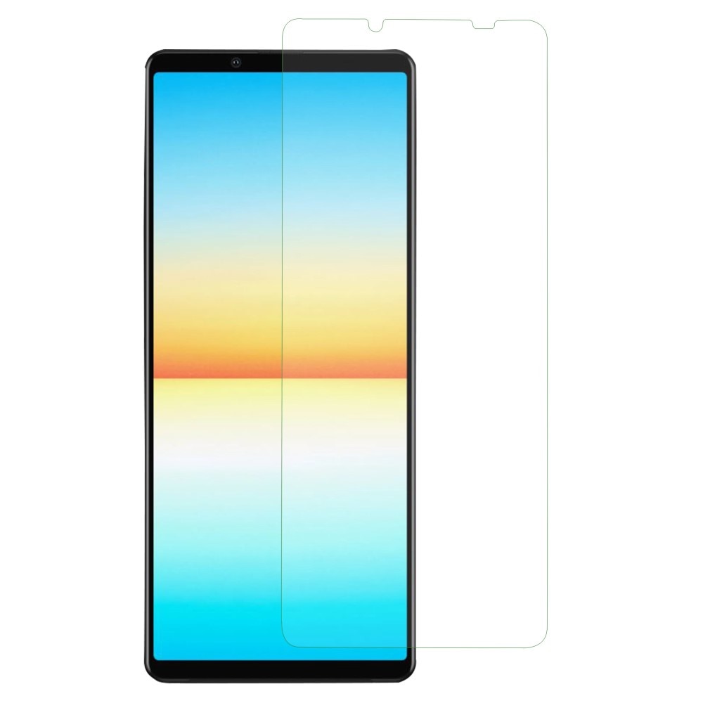 Sony Xperia 10 V Skjermbeskytter i herdet glass